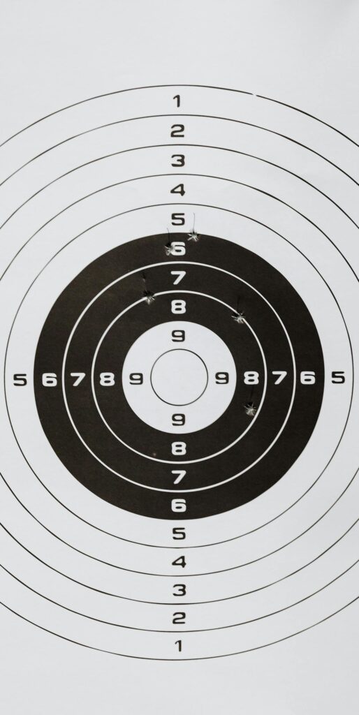 Detailed image of a shooting range paper target showing multiple rings and numbers.